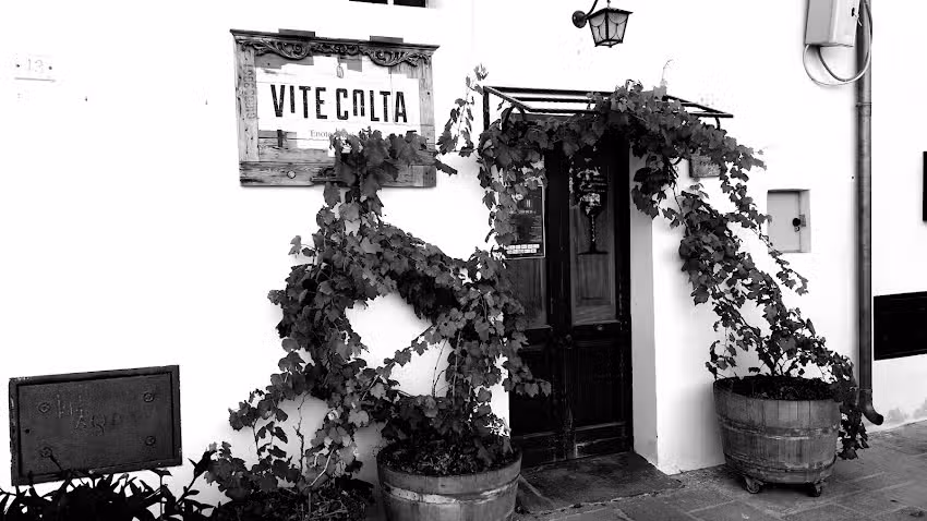 Bed & Breakfast “Dolce Felline”