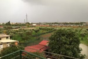 Bed & Breakfast La Contrada Degli Ulivi