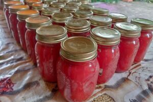 Bed & Breakfast “Le Cicale”