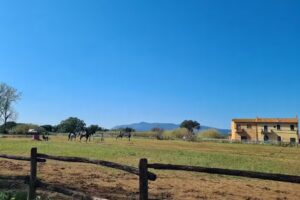 Bed & Breakfast Maison La Greinouille