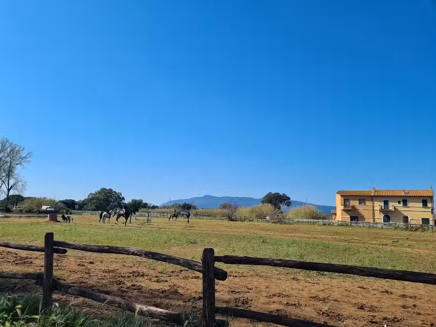 Bed & Breakfast Maison La Greinouille