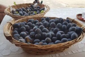 Bed&Breakfast “Monte Marosu” – Alessandro Deiana