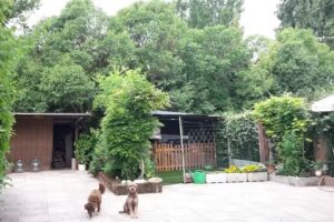 bed & breakfast Nenè