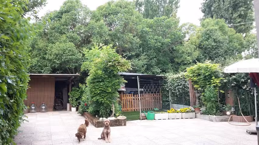 bed & breakfast Nenè