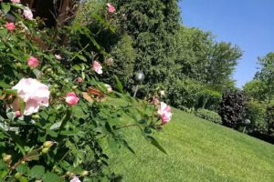Bed & Breakfast Parco dei Gessi