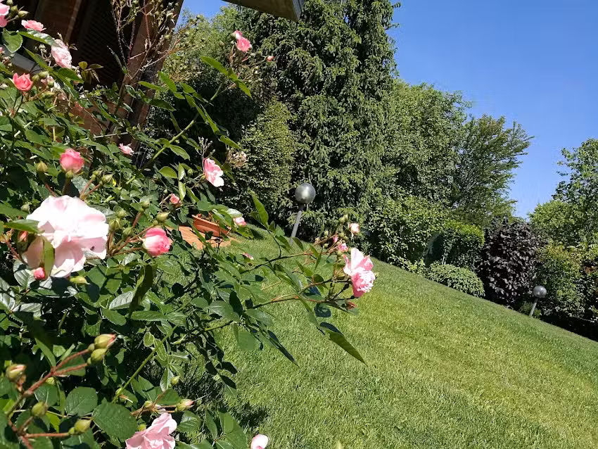 Bed & Breakfast Parco dei Gessi
