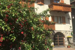 Bed & Breakfast Sotto al Bosco