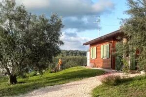 Bed & Breakfast VerdeUlivo