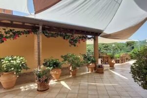 Bellavista Versilia – Bed and Breakfast