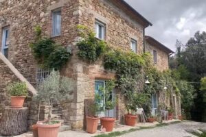 Belvedere Bed & Breakfast