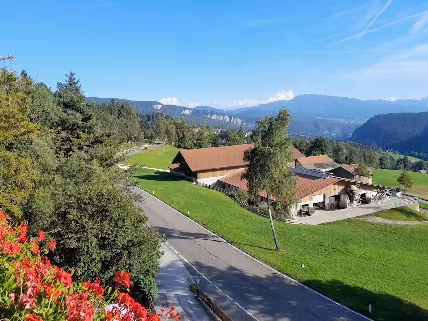 Berggasthof Pension Pfitscher