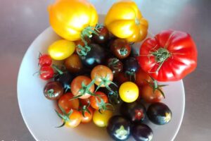 Berghütte Sommerstall