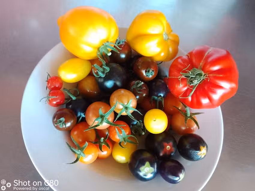 Berghütte Sommerstall