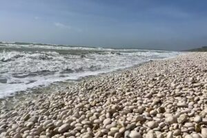 Bertolino Spiaggia Giache Bianche