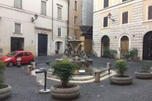 Best Comfort Reginella