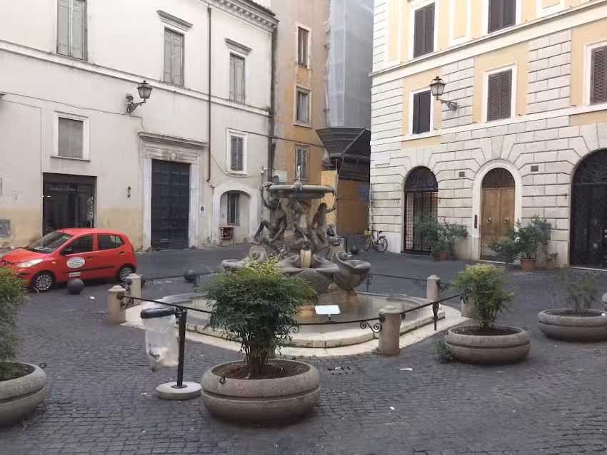 Best Comfort Reginella