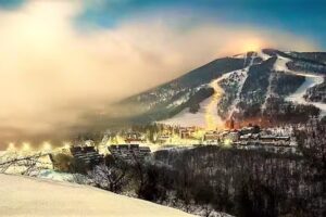 Bilocale a Viola St.Gréé