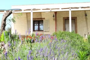 Bio Agricole Marchesi – Azienda Agricola