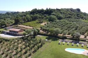 Bio Fattoria Il Torrione