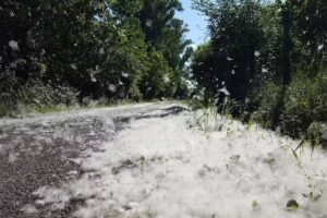 Bio Ostello Casale della Mora