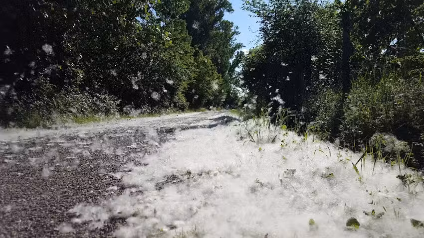 Bio Ostello Casale della Mora