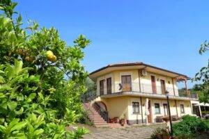 Biologico dell’Etna