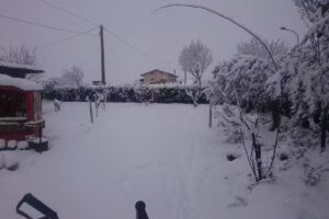 Blu Hotel S.R.L.- Societa’ A Responsabilita’ Limitata