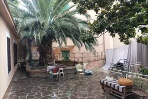 Boh & Boh a casa di Luca and his cats