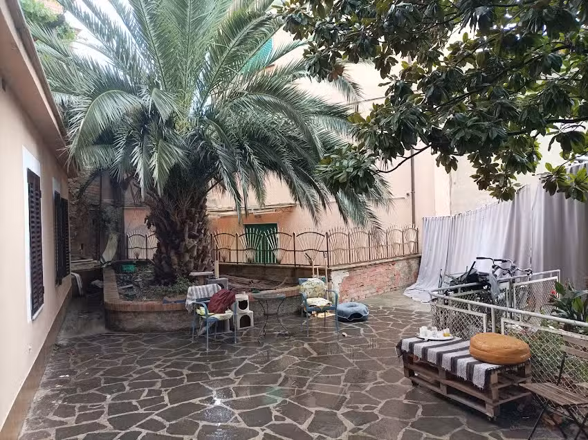 Boh & Boh a casa di Luca and his cats