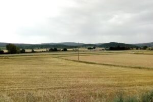 Borgo Antico Ficaiole