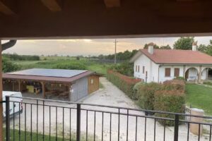 Boschetto di Campagna