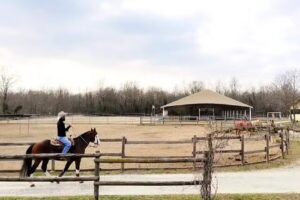 BOSQUEY RANCH – Maneggio e Bed & Breakfast – Biella Vercelli Piemonte