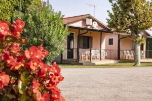 Bozzato Vacanze di Bozzato Gianni & C. S.n.c.