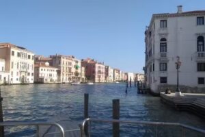 Bulldog Station Apartments