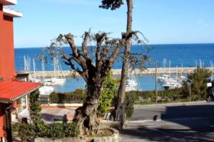 Bungalows, Affittacamere Baia dei Gabbiani