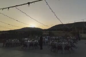 Calderoni Martini Suite