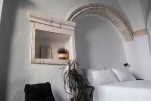 Calmapianta – Home for green lovers