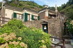 Camere Giuliano Basso