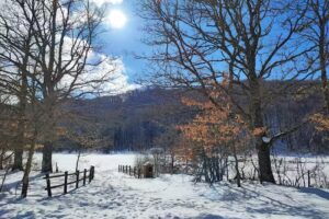 Campeggio Campolongo