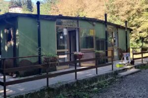 Campeggio Le Betulle