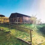 Camping La Luna Sul Trebbio