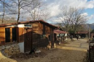 Camping Monti Ernici