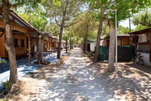 Camping Pineta srl