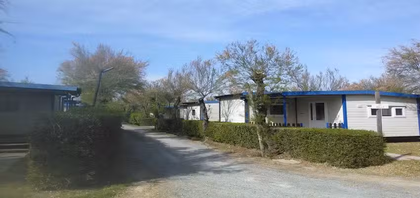 Camping Rada Etrusca – direttamente sul mare a Vada