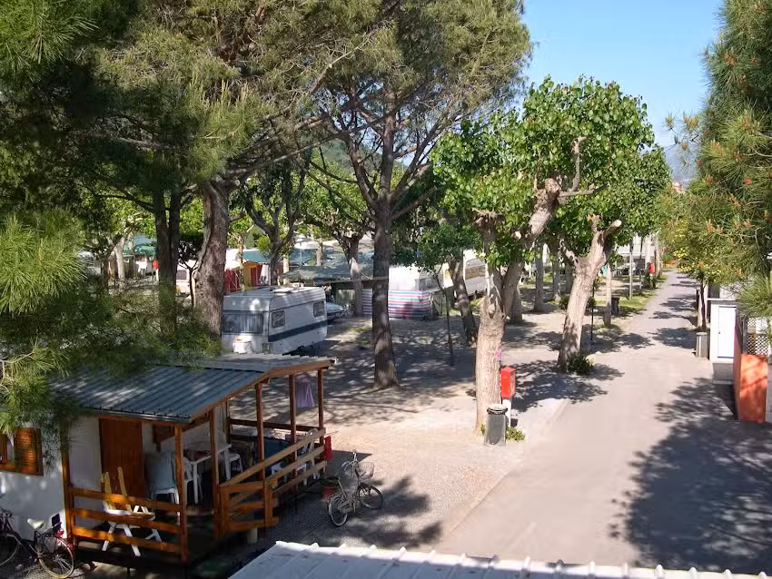 Camping Roma Albenga