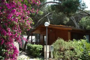 Camping Village Club Marziotta