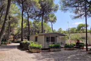 Camping Village Riva dei Greci