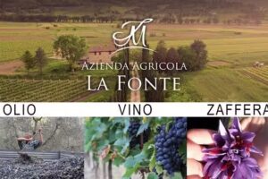 Cantina LA FONTE AZIENDA AGRICOLA