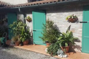 Carlo Mayr apartment