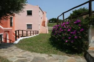 Carolina apartment – green and relax